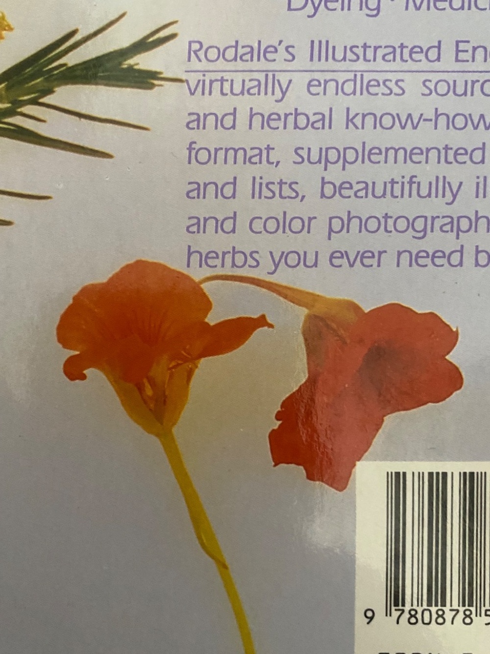 Rodale's Illustrated Encyclopedia of Herbs, Claire Kowalchik & William Hylton - Picture 4 of 14